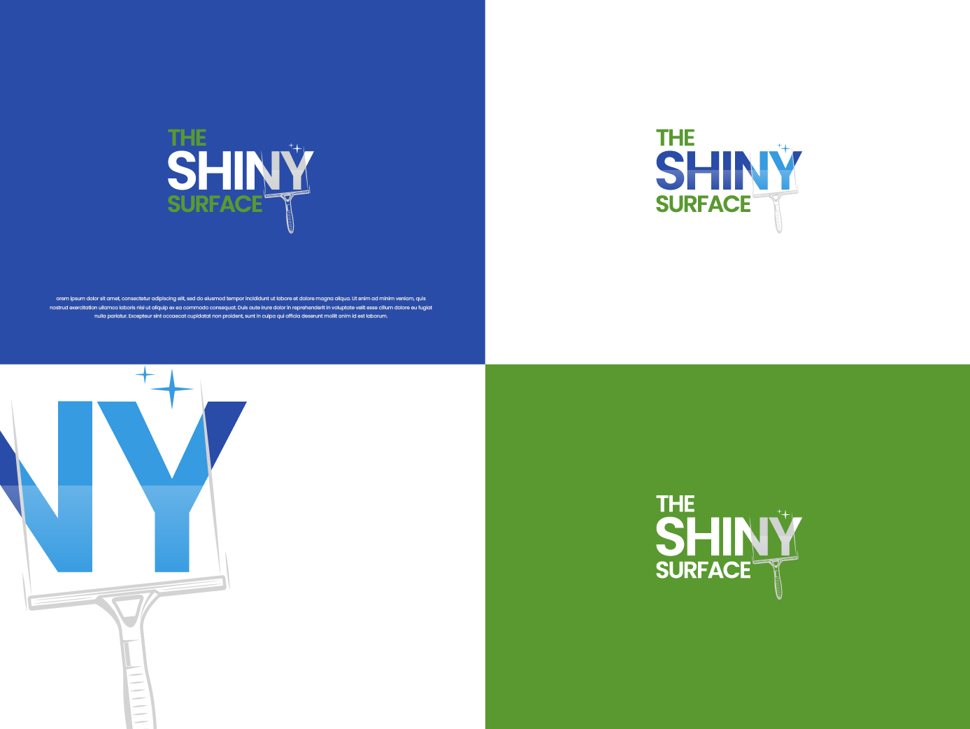 The Shinny Surface – Logo